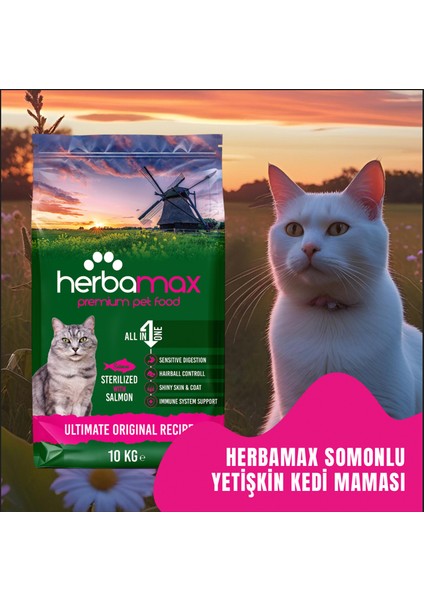 Kilo Almayı Önleyici Diyet Özellikte Somonlu ve Pirinçli Kısır Kedi Maması 20kg (2X10kg)