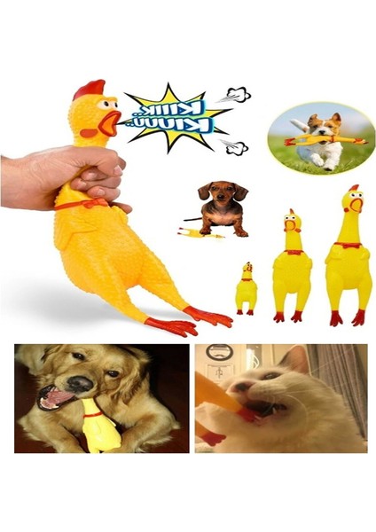 Ses Çıkaran Tavuk Kedi Köpek Oyuncağı