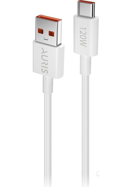 Auris 120W USB Type-C Şarj Saliseli Ultra Süper Hızlı USB Başlık ve Type-C Kablo Seti fırsatları