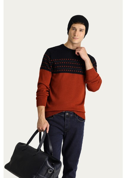 Bisiklet Yaka Slim Fit Dar Kesim Desenli Triko Kazak modelleri