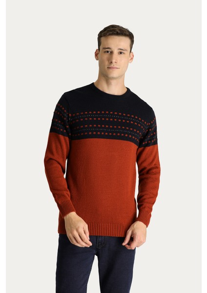 Bisiklet Yaka Slim Fit Dar Kesim Desenli Triko Kazak fırsatları