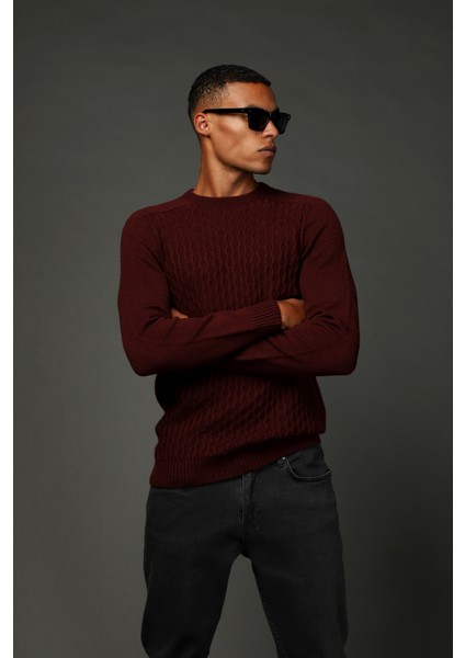 Bisiklet Yaka Regular Fit Dikişsiz Desenli Triko Kazak