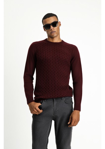 Bisiklet Yaka Regular Fit Dikişsiz Desenli Triko Kazak fiyatları