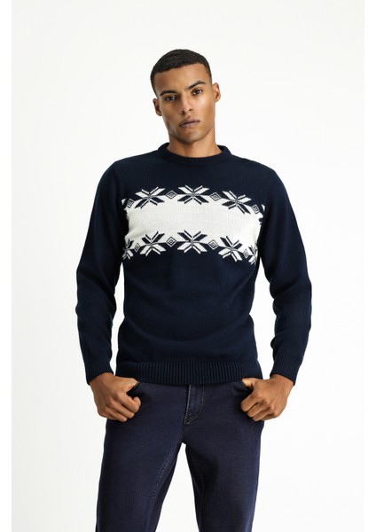 Bisiklet Yaka Regular Fit Desenli Triko Kazak