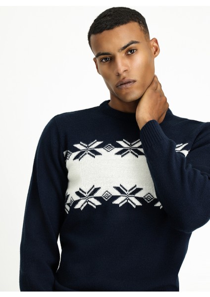 Bisiklet Yaka Regular Fit Desenli Triko Kazak modelleri