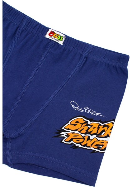 Erkek Çocuk Boxer 3'lü Baskılı (%96 Pamuk - %4 Elastan)
