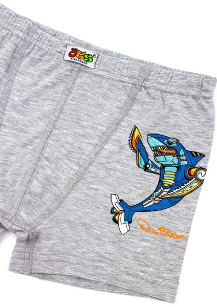Erkek Çocuk Boxer 3'lü Baskılı (%96 Pamuk - %4 Elastan) indirimleri