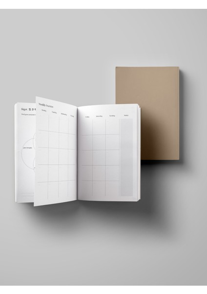 Daily Planner - A5 Süresiz Aylık, Haftalık ve Günlük Planlayıcı -Kum Beji fiyatları
