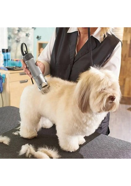 Çıkarılabilir Evcil Hayvan Köpek Bakım Makası Seramik Bıçak Çoğu Andis, Oster A5, Wahl KM10 Serisi Makaslar 7f Için Yedek (Yurt Dışından) modelleri