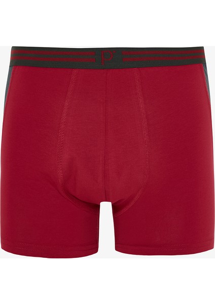 Erkek Organik 5'li Boxer fiyatları