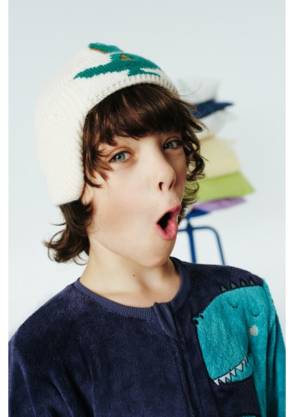 Koyu Indigo Erkek Çocuk Dino Fermuarlı Pijama Tulumu fiyatları