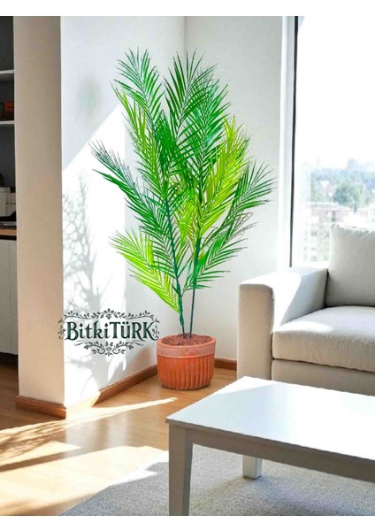 - Büyük Beton Saksıda 120CM 2 Dallı Yapay Areka Palmiyesiiç Mekan Ofis Balkon