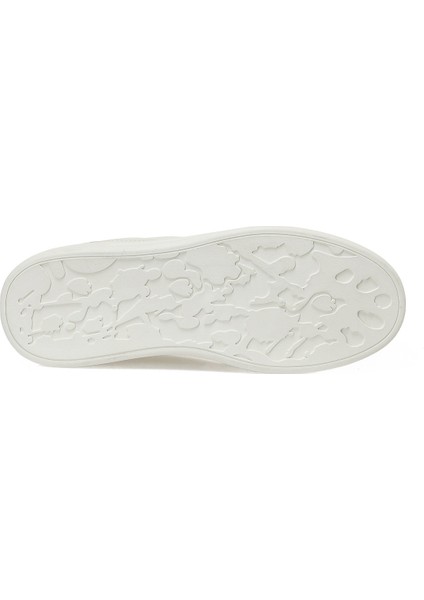 Tersa 5pr Çok Renkli Kadın Sneaker