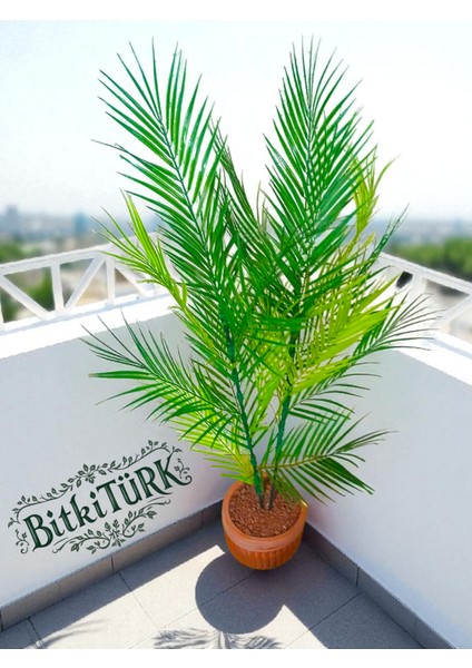 - Büyük Beton Saksıda 120CM 2 Dallı Yapay Areka Palmiyesiiç Mekan Ofis Balkon fırsatları