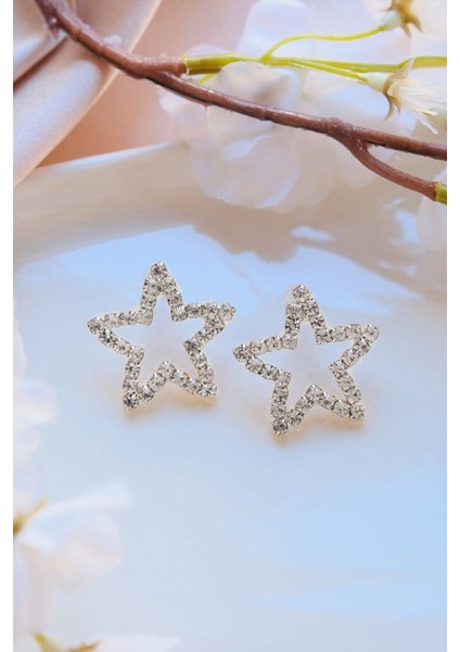 Silver Zirkon Taşlı Yıldız Şekilli Küpe fiyatları