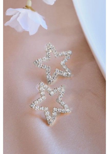 Silver Zirkon Taşlı Yıldız Şekilli Küpe modelleri