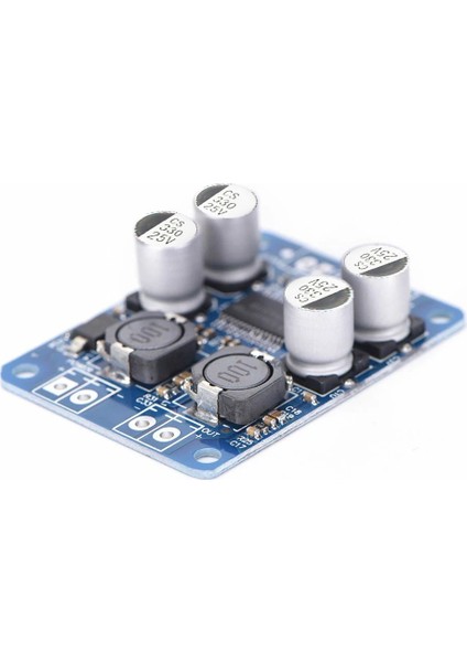 XH-M313 TPA3118 Sop-16 Mono Dijital Güç Amplifikatörü Amplifier Board 30W 60W