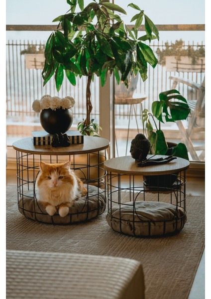 Nordik Tarz Kedi Yataklı 2'li Sehpa