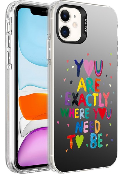 iPhone 12 Uyumlu Desenli Zıvo Silver Sert Kapak-You