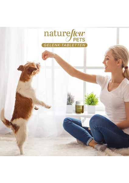 Köpekler Eklemhareket Destek Tableti – Yeşil Midye, Msm, Glukozamin, Şeytan Pençesi – 100 Tablet – Almanya Üretimi fiyatları