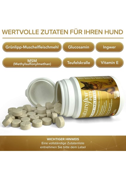 Köpekler Eklemhareket Destek Tableti – Yeşil Midye, Msm, Glukozamin, Şeytan Pençesi – 100 Tablet – Almanya Üretimi modelleri