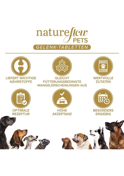 Köpekler Eklemhareket Destek Tableti – Yeşil Midye, Msm, Glukozamin, Şeytan Pençesi – 100 Tablet – Almanya Üretimi fırsatları
