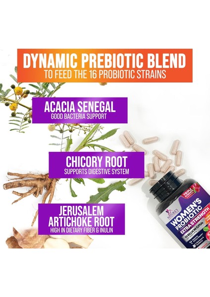 Probiotics For Women – 90 B Cfu, 16 Suş, Prebiotik & Yabanmersini Içerir | 120 Kapsül indirimleri