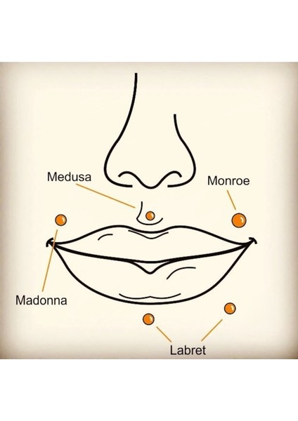 %100 Cerrahi Çelik Beş Top Dudak/ Kulak Piercing (8mm)
