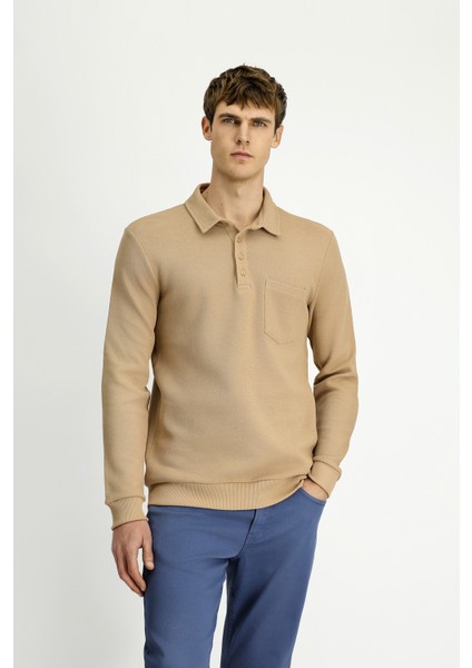 Polo Yaka Regular Fit Desenli Pamuk Sweatshırt