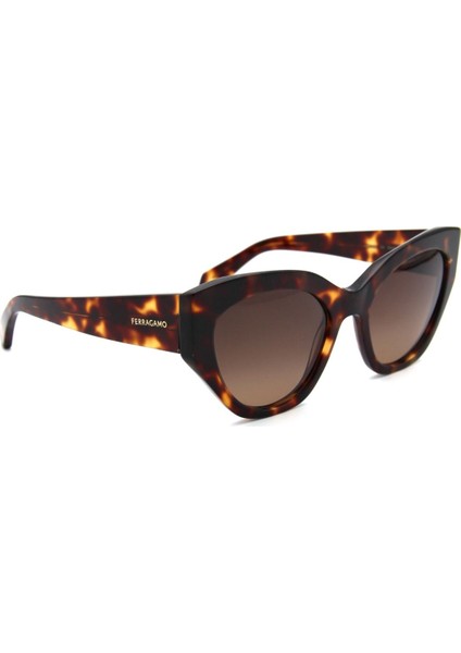 Sf 1107S C242 Kadın Güneş Gözl modelleri