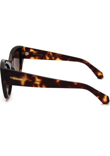 Sf 1107S C242 Kadın Güneş Gözl fırsatları