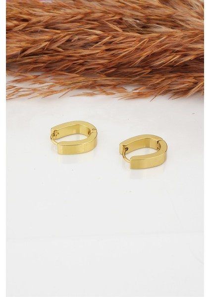 Kadın Çelik Basic Geometrik 1.5 cm Elips Moldel Klipsli Küpe fiyatları