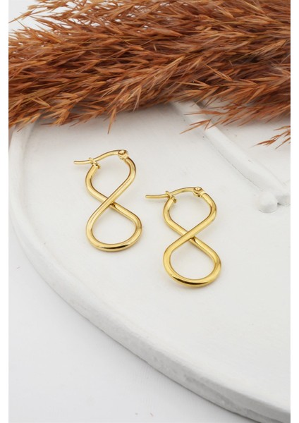 Kadın 316L Paslanmaz Çelik Basic Geometrik 3.5 cm Sonsuzluk Model Klipsli Küpe