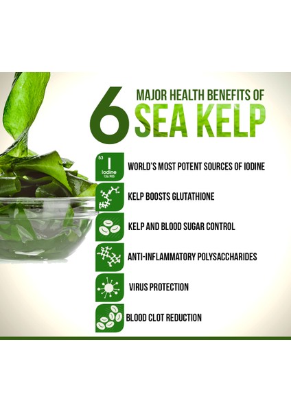 Kelp Whole1 00 Capsules Thallus 100 Laminariales Sodium Iodine Thyroid Sodyum Mineral İyot indirimleri