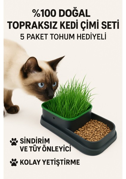 %100 Doğal Topraksız Kedi Çimi Seti 5 Paket Tohum Hediyeli, ve Tüy Önleyici,kolay Yetiştir