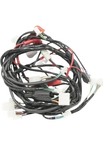 Elektrik Tesisatı - Kuba Blueberry