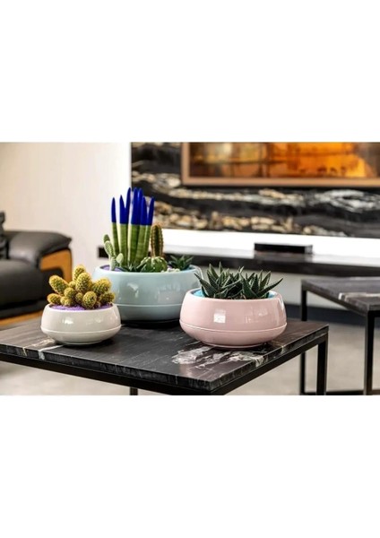 So-Eas2 Elvan Arajman Sukulent Kaktüs Saksı 2 Lt Kirli Beyaz 6 Adet fırsatları