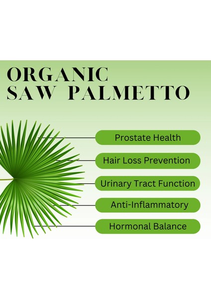Saw Palmetto Pygeum Vitamin Cüce Palmiye Afrika Eriği Organic Nettle Root Serenoa Repens fırsatları
