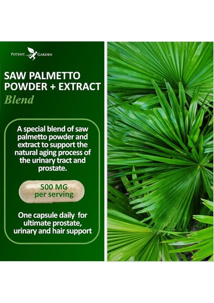 Saw Palmetto Pygeum Vitamin Cüce Palmiye Afrika Eriği Organic Nettle Root Serenoa Repens