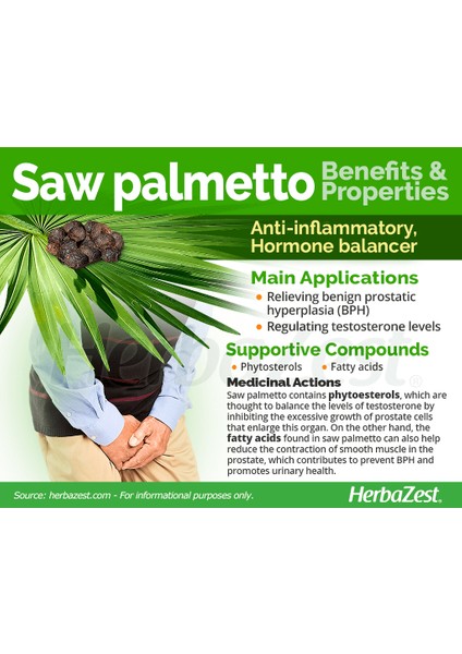 Saw Palmetto Pygeum Vitamin Cüce Palmiye Afrika Eriği Organic Nettle Root Serenoa Repens