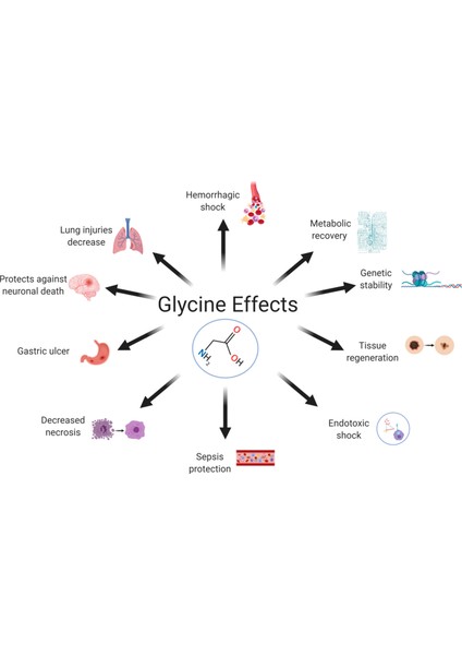 Gaba Calm N-Acetyl L - Tyrosine Taurine Glycine Magnezyum Magnesium Complex Relax Focus Mınd