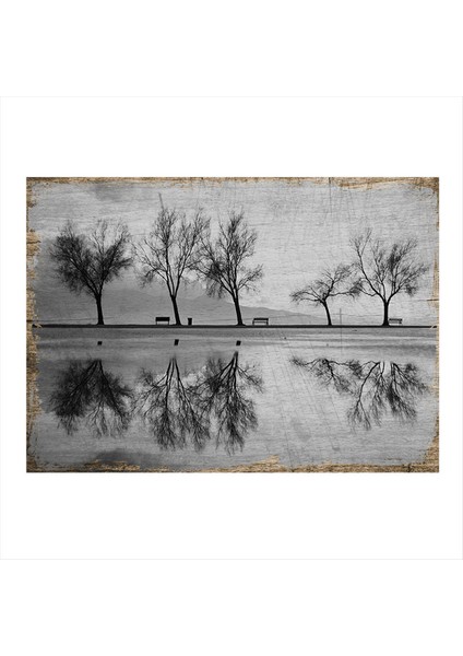 Siyah Beyaz Manzara Mdf Tablo 50 cm x 70 cm