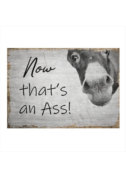 Sevimli Eşek Modern Ahşap Tablo 50 cm x 70 cm