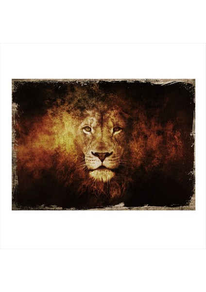 Yaşlı Aslan Art Mdf Poster 50 cm x 70 cm