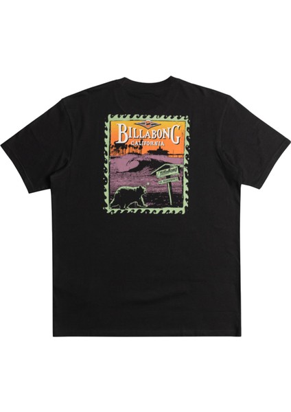 Dreamy Place Tees Erkek Siyah Tişört