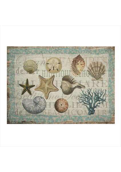 Deniz Kabukları Dekoratif Ahşap Tablo 35 cm x 50 cm