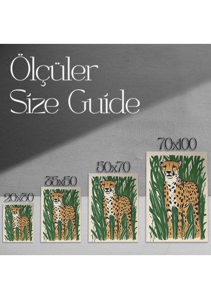 Çita Illüstrasyon Tablosu modelleri