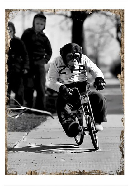 Bisiklet Süren Maymun Desenli Ahşap Tablo 35 cm x 50 cm