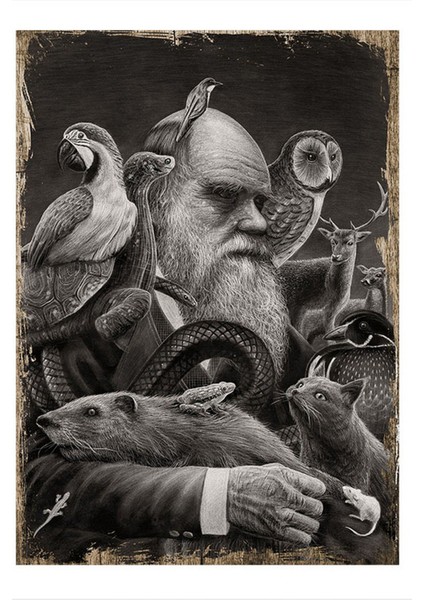 Ahşap Tablo Charles Darwin ve Teorisi
