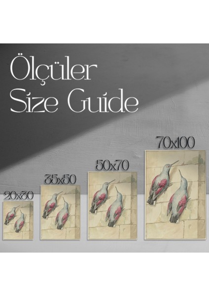 Vintage Kuş Illüstrasyonu Tablosu modelleri